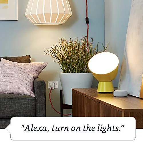 Introducing Amazon Smart Plug (works with Alexa) - 6A, Easy Set-Up