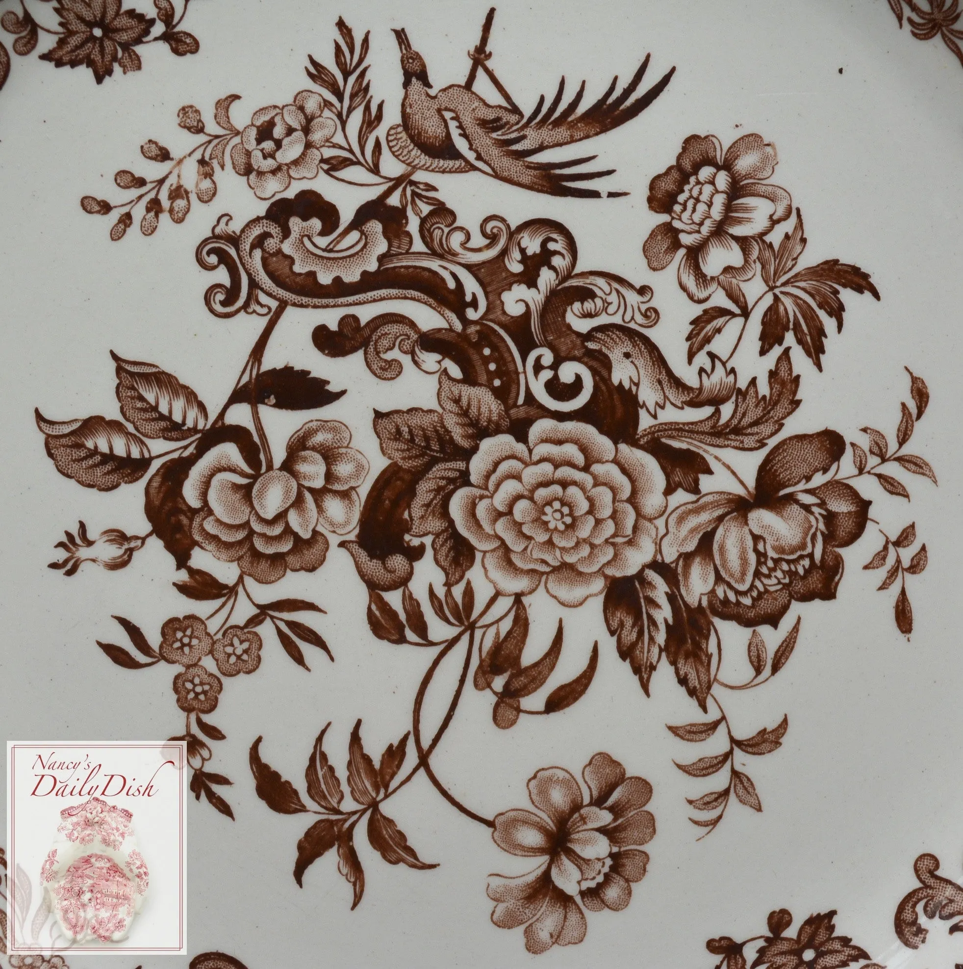 Vintage Copeland Spode  Brown Transferware Victorian Pheasants Birds & Roses Plate